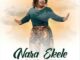 Nara Ekele (Take Glory)
